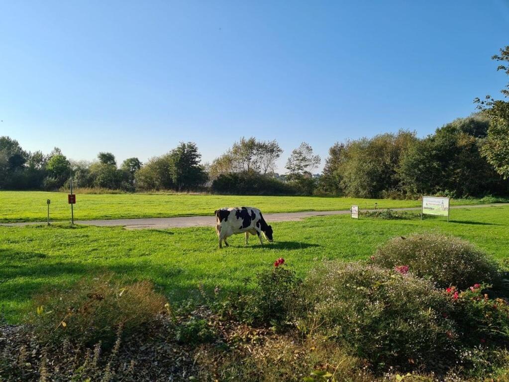 Ferienwohnung Sonnenaufgangsgenuss Harriersand Schwanewede Exteriér fotografie